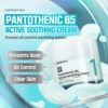 numbuzin No.1 Pantothenic B5 Active Soothing Cream