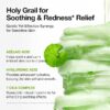 ANUA AZELAIC 10+ HYALURON SOOTHING PAD  90PADS/230ML