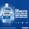 Listerine Total Care Tartar Protect – Fresh Mint – 250ml